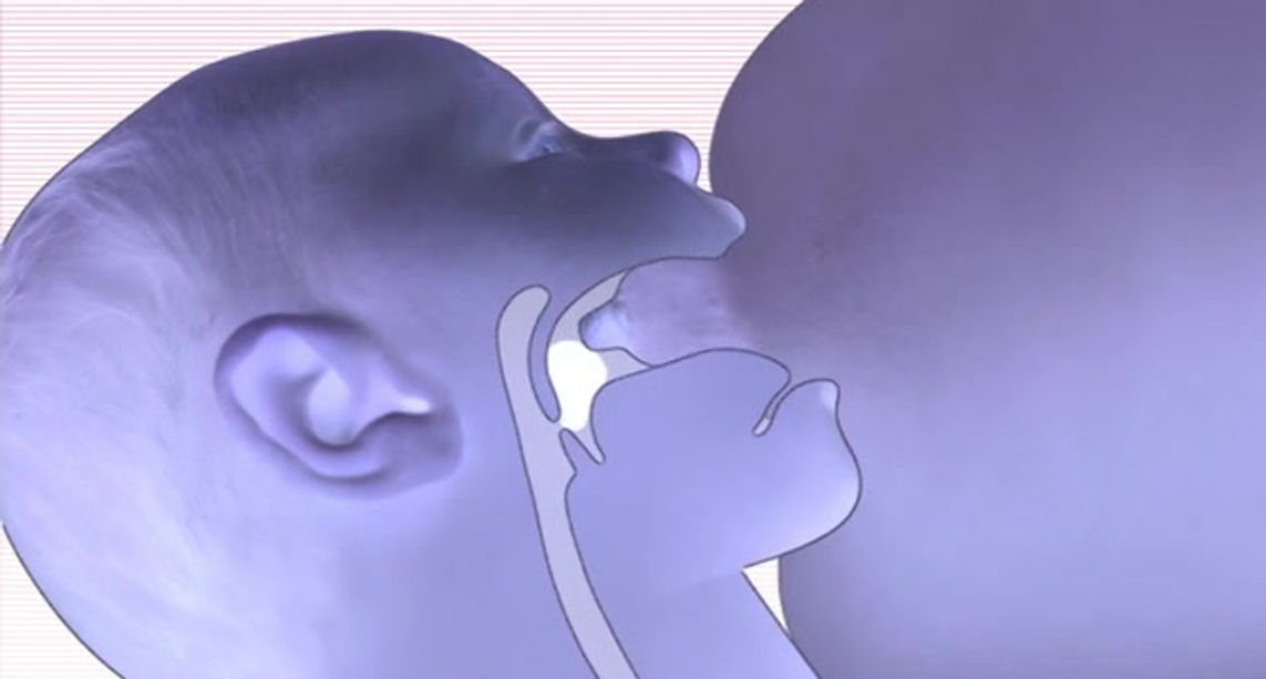 Baby Attaching on the Breast